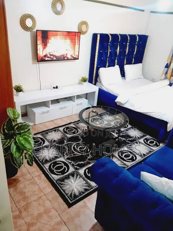 Furnished Apartments South B