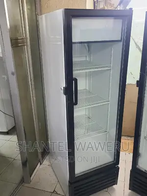 Display Fridges Chiller