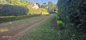 1⁄2 ACRE Plot for Sale in Elgonview Eldoret - thumbnail 2