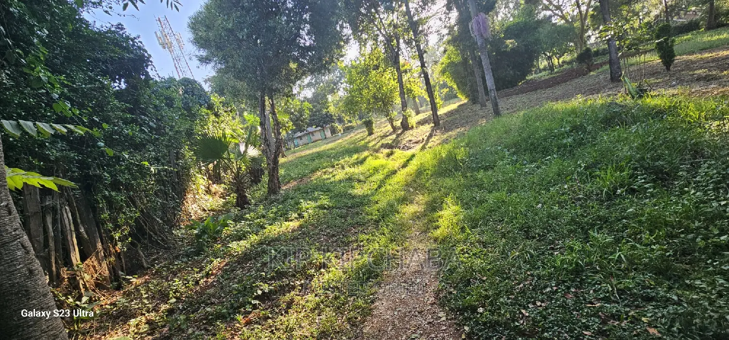 1⁄2 ACRE Plot for Sale in Elgonview Eldoret