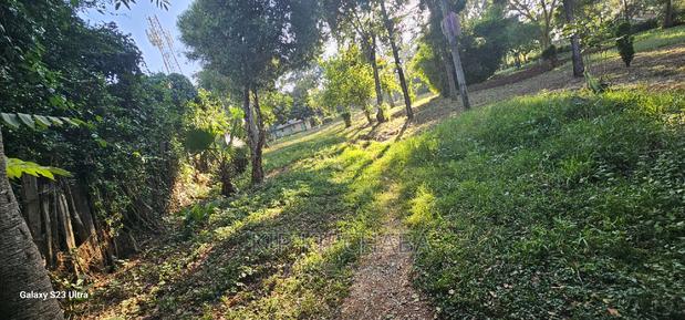 1⁄2 ACRE Plot for Sale in Elgonview Eldoret - thumbnail 4