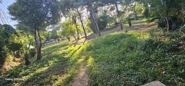 1⁄2 ACRE Plot for Sale in Elgonview Eldoret - thumbnail 6