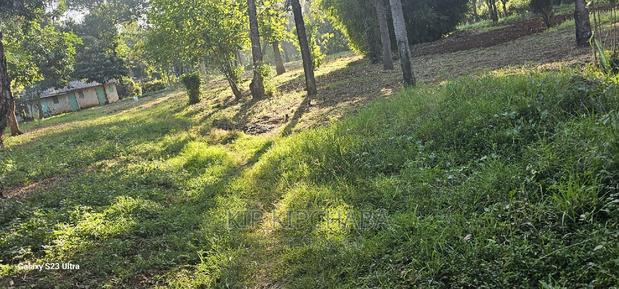 1⁄2 ACRE Plot for Sale in Elgonview Eldoret - thumbnail 8