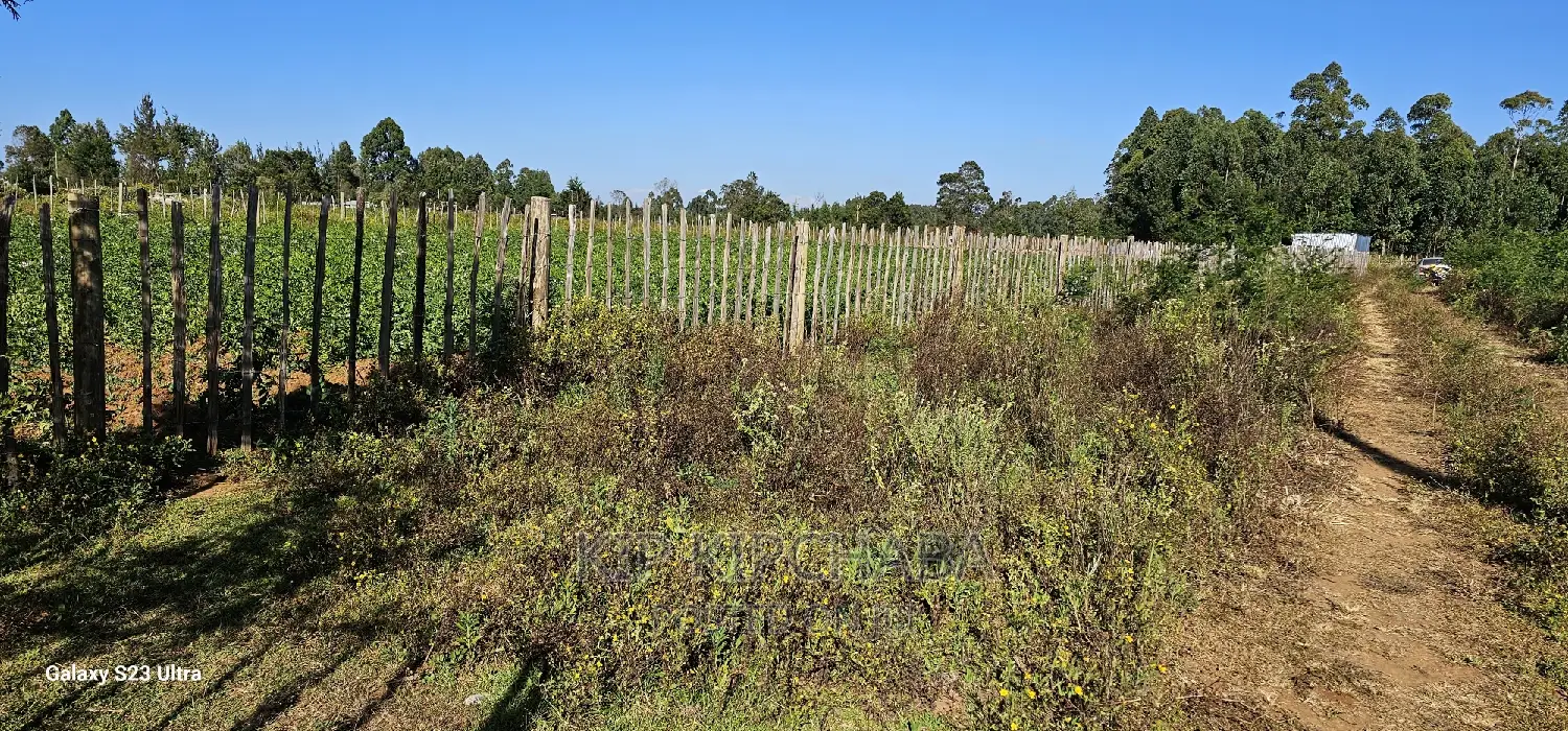1⁄4 Plot for Sale in Royalton After Annex in Eldoret