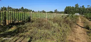 1⁄4 Plot for Sale in Royalton After Annex in Eldoret