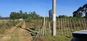 1⁄4 Plot for Sale in Royalton After Annex in Eldoret