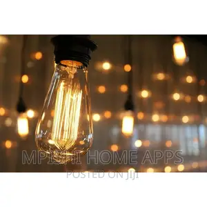 10m String Light With Bulbs