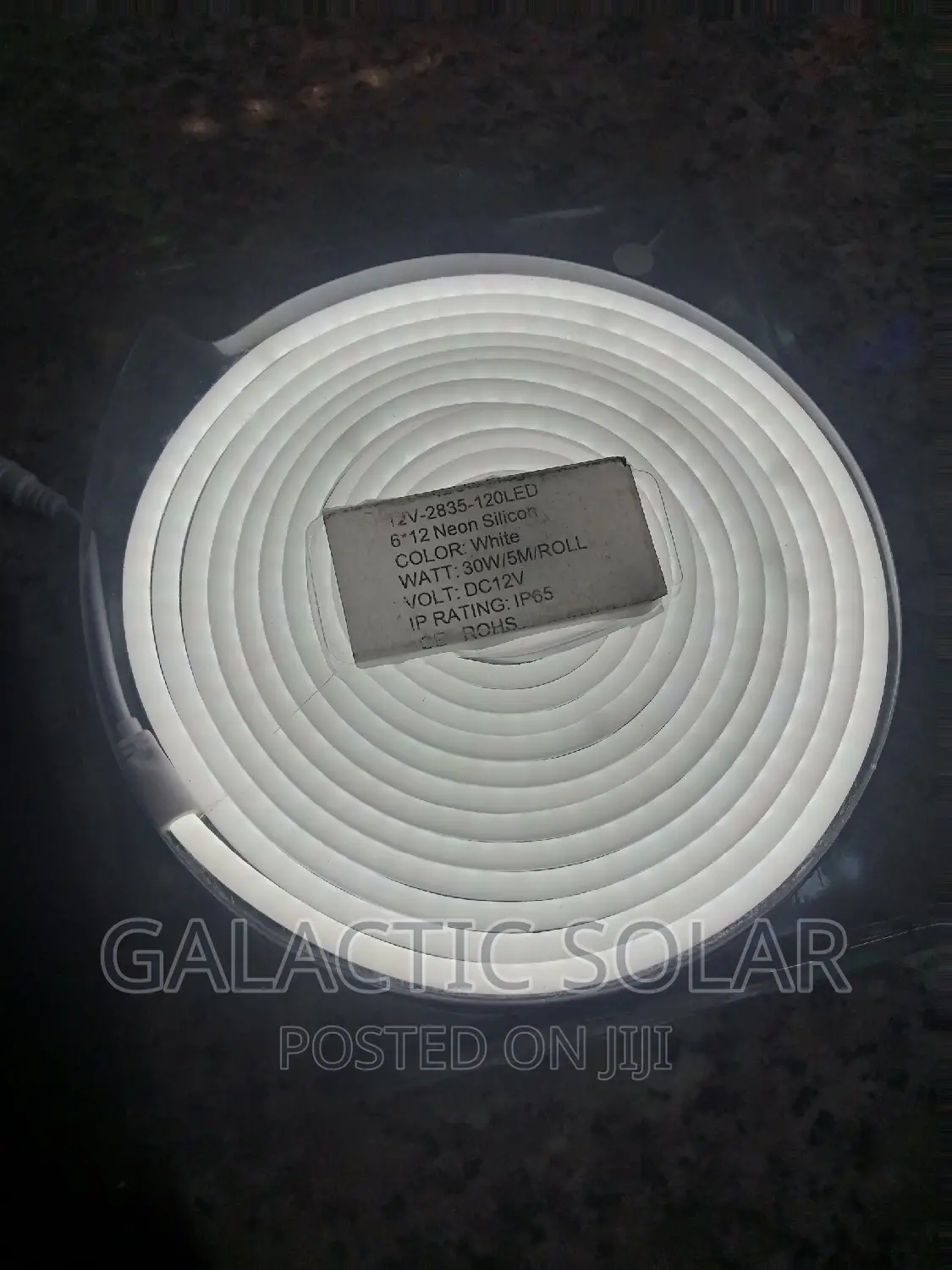 5mtrs Neon Light 12v