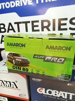 DIN80 Amaron Battery