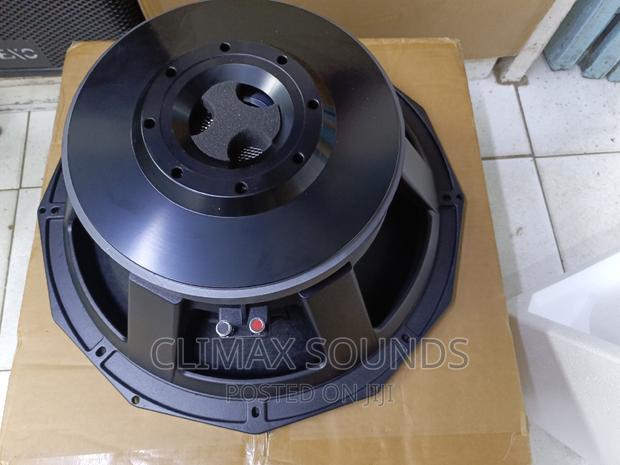 Pd1880 Naked Speaker;