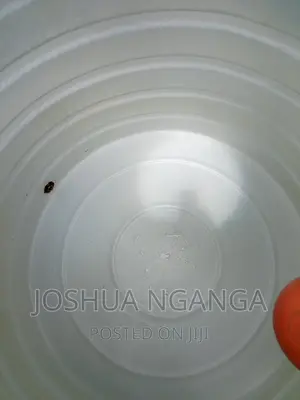 Water Tank Cleaning
