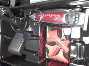 Cordless Detailer