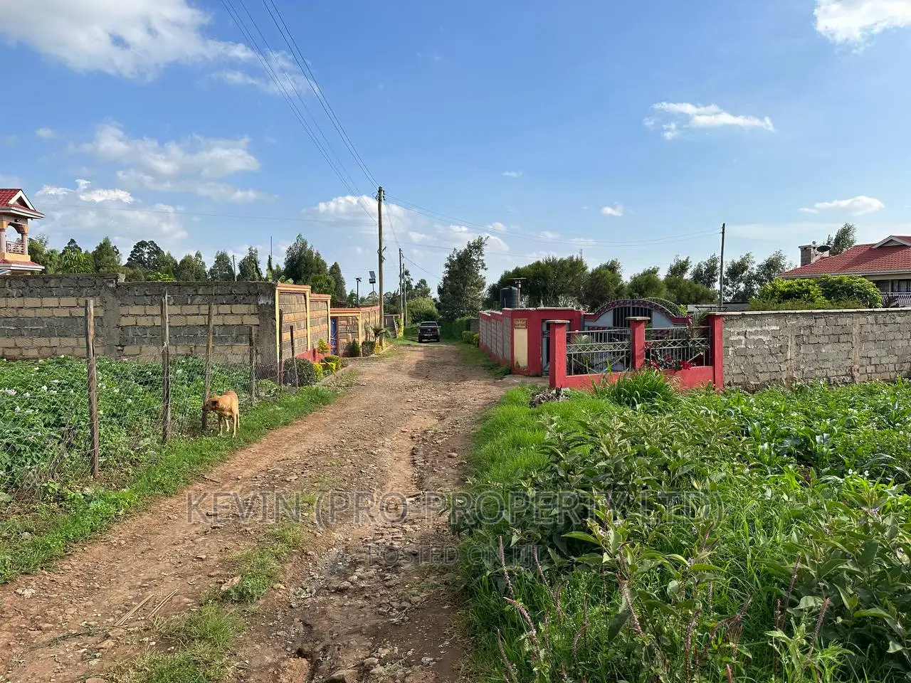 Prime Residential Plot For Sale In Kikuyu, Kamang