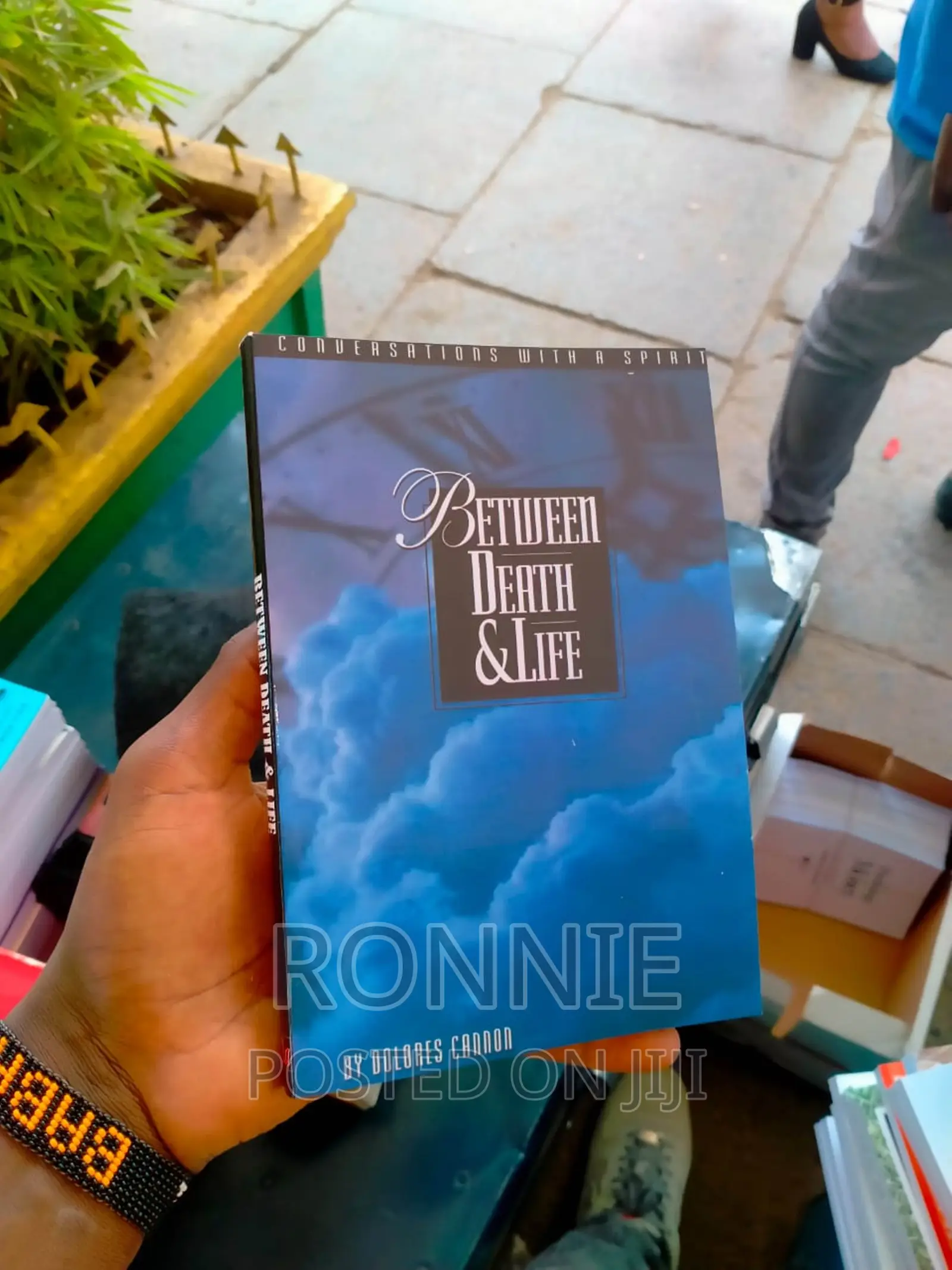 Between Death and Life Book by Dolores Cannon