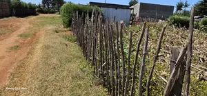 Reidentical Plot for Sale in Chepkanga Eldoret