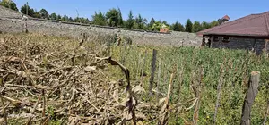 Reidentical Plot for Sale in Chepkanga Eldoret