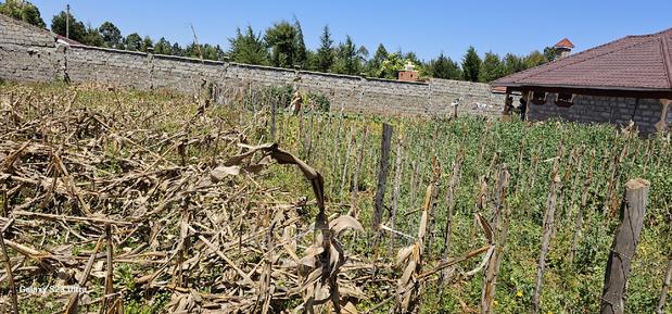 Reidentical Plot for Sale in Chepkanga Eldoret - thumbnail 6