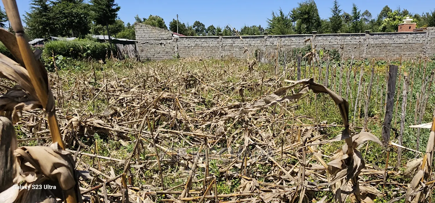 Reidentical Plot for Sale in Chepkanga Eldoret