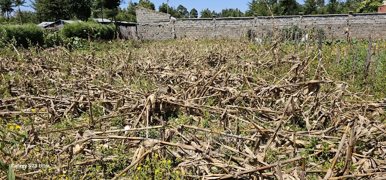 Reidentical Plot for Sale in Chepkanga Eldoret