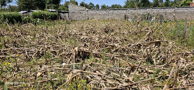 Reidentical Plot for Sale in Chepkanga Eldoret - thumbnail 9