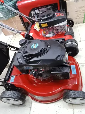 Gasoline Lawn Mower