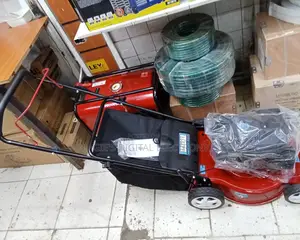 Gasoline Lawn Mower