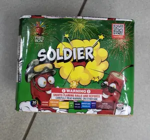 Fireworks 30 Shots