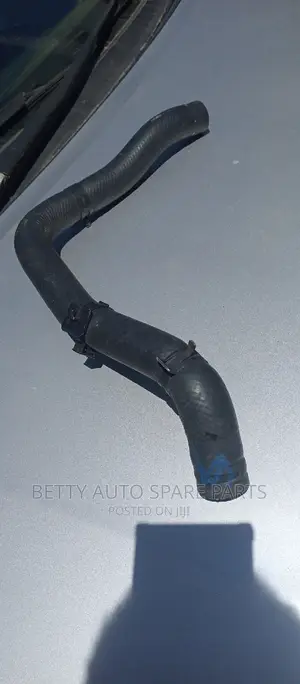 Toyota Passo Horse Water Pipe