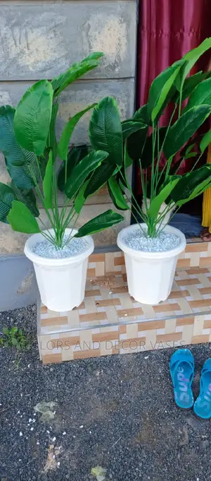 1m Long Banana Plant and Plastic Vase Plus Pebble Stones