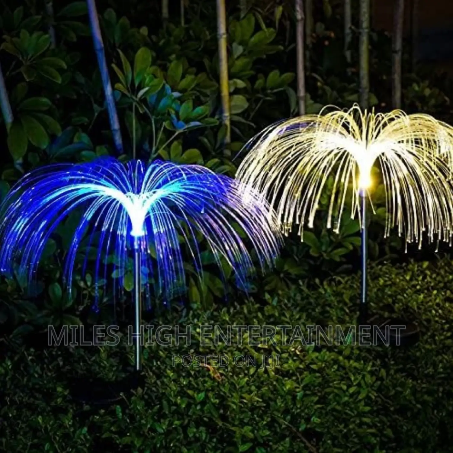 Jellyfish Outdoor Lights Waterproof for Garden Decoration