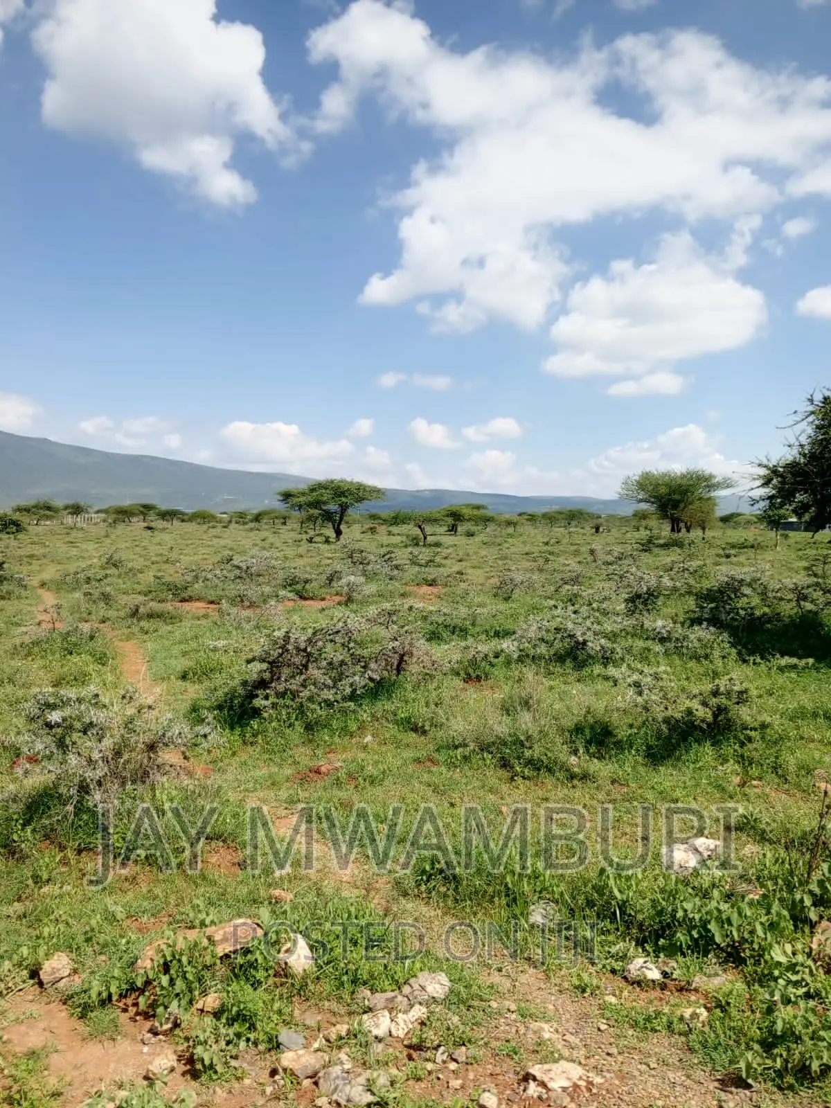 50 By100 Plot Katani