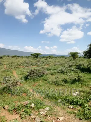 50 By100 Plot Katani