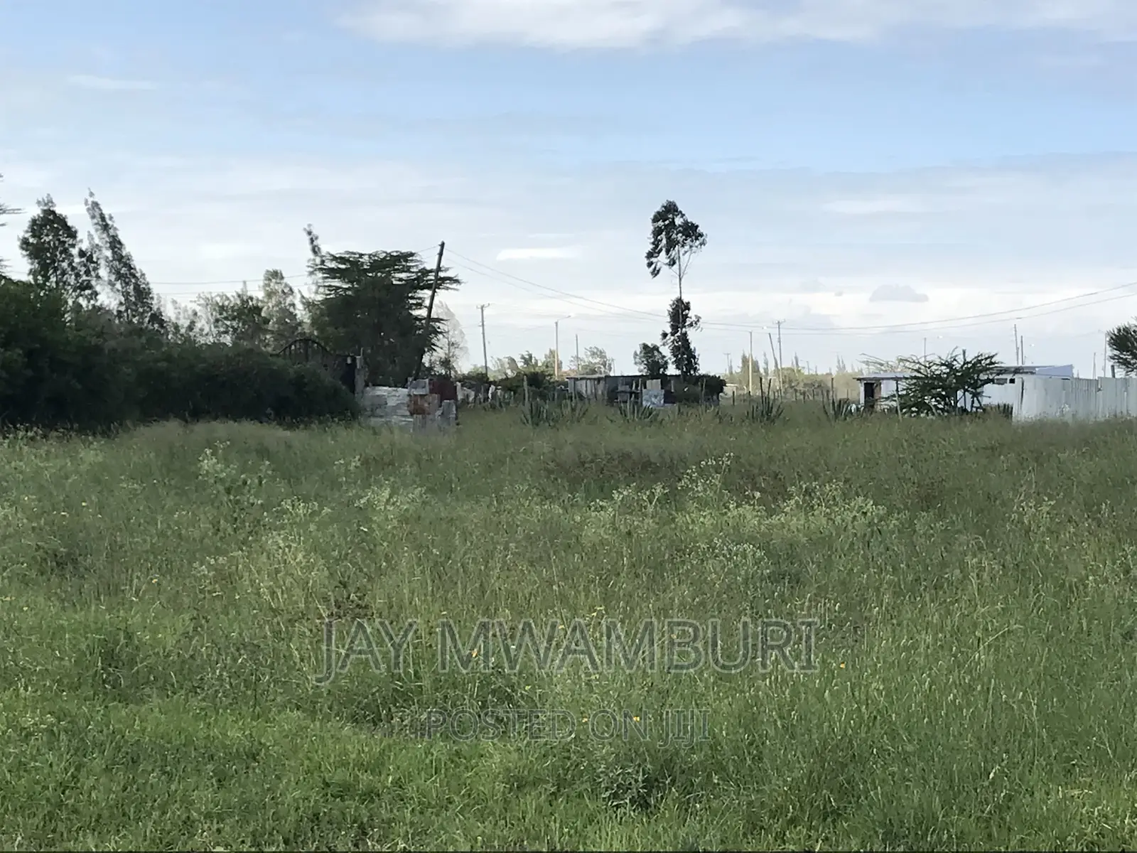 50 By100 Plot Katani