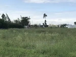 50 By100 Plot Katani