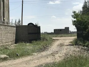 50 By100 Plot Katani