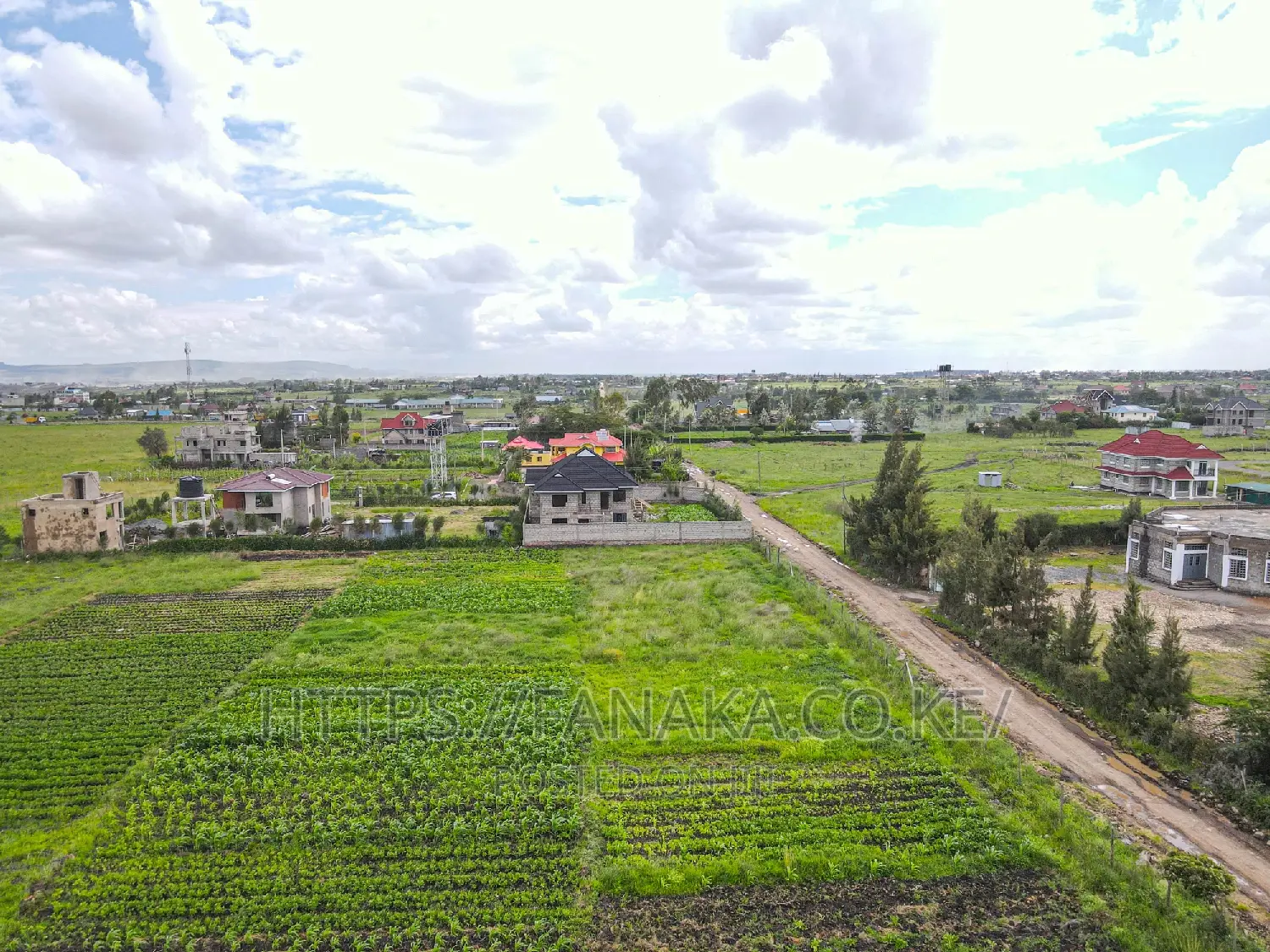 50 by 100 Syokimau-Katani Plots Ww^