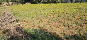Plot for Sale in Chepkanga Eldoret