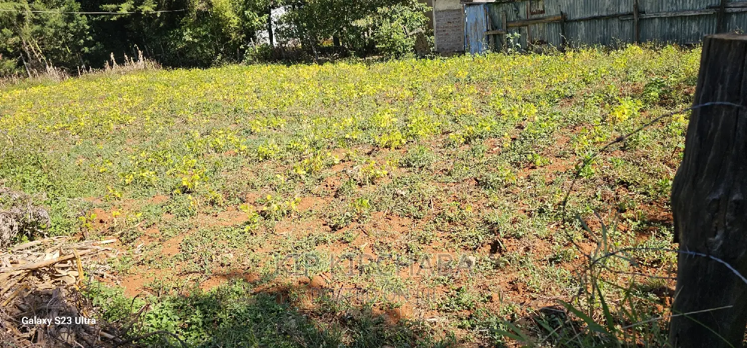 Plot for Sale in Chepkanga Eldoret