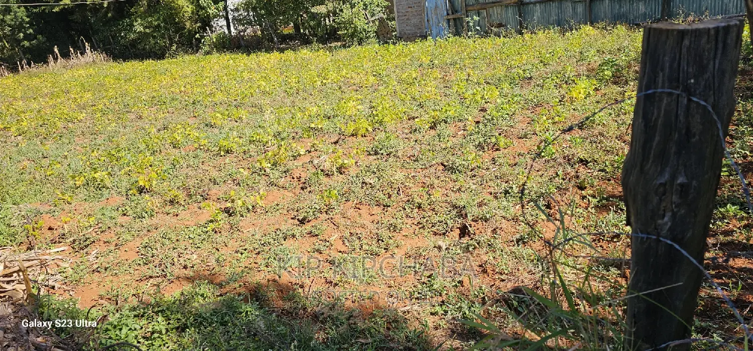 Plot for Sale in Chepkanga Eldoret