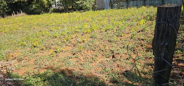 Plot for Sale in Chepkanga Eldoret - thumbnail 5