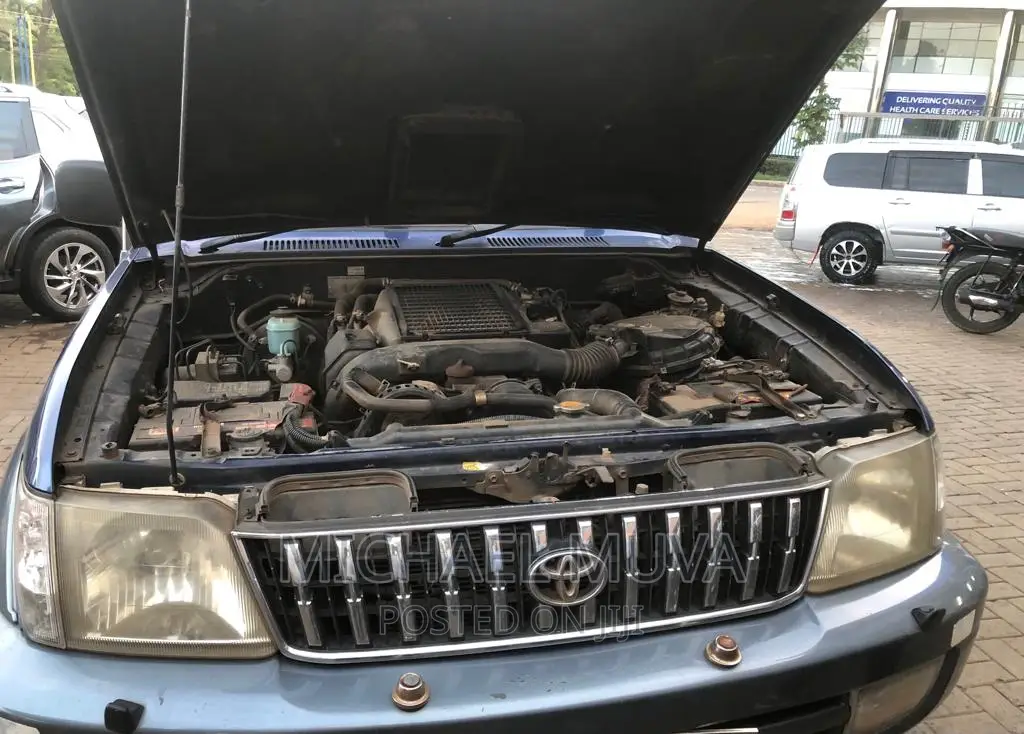 Toyota Land Cruiser Prado 3.0 D-4D 2002 Blue