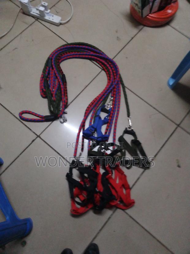 Dog Leash Dog Leash Dog Leash . - main view