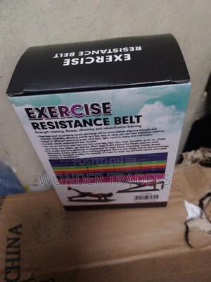 Home Gym Resistance Belt - thumbnail 2