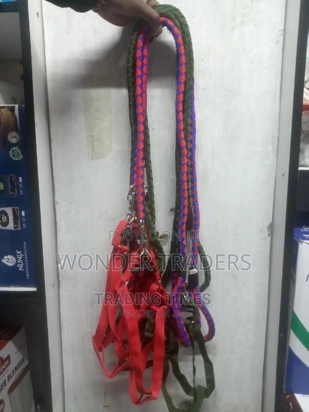 Dog Leash Dog Leash Dog Leash