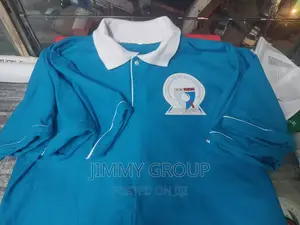 T Shirts, Polo, With Color Printing and Branding