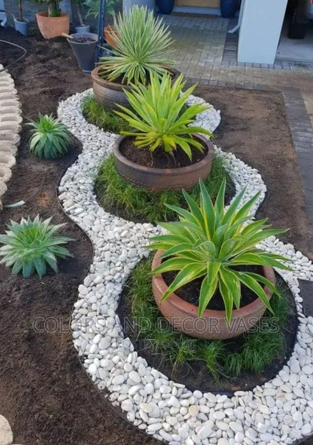 Pebble White Stones - thumbnail 5