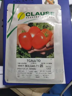 Clause Vegetable Seeds Tomato Bolgan F1