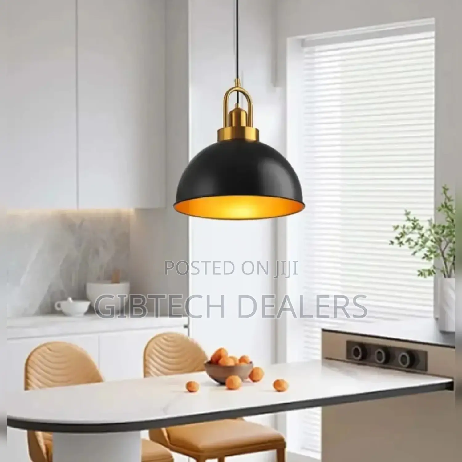 Pendant Ceiling Light