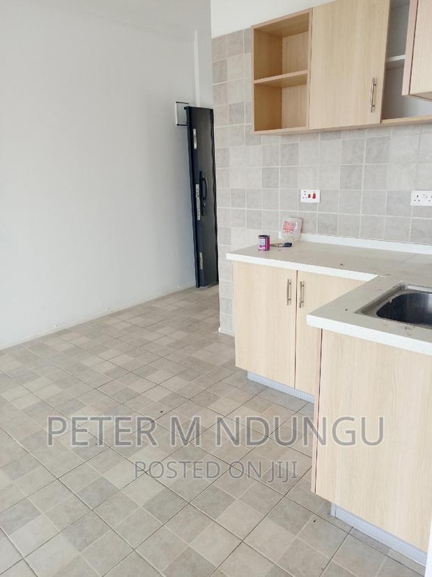 Executive 2 Bedrooms to Let, Maziwa - thumbnail 5
