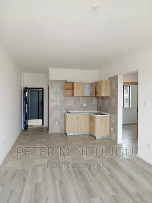 Executive 2 Bedrooms to Let, Maziwa
